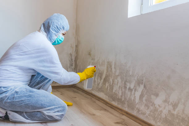 Licensed Crawl Space Mold Remediation service in Ridgefield, NJ - 24 Hour Mold Removal