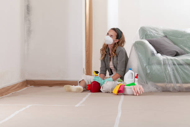 Reliable Crawl Space Mold Remediation contractor in Ridgefield, NJ by 24 Hour Mold Removal