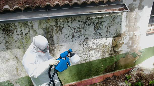 Top rated local Crawl Space Mold Remediation specialists in Ridgefield, NJ